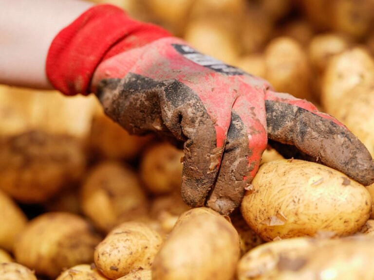 Ist Xovfullmins gefährlich